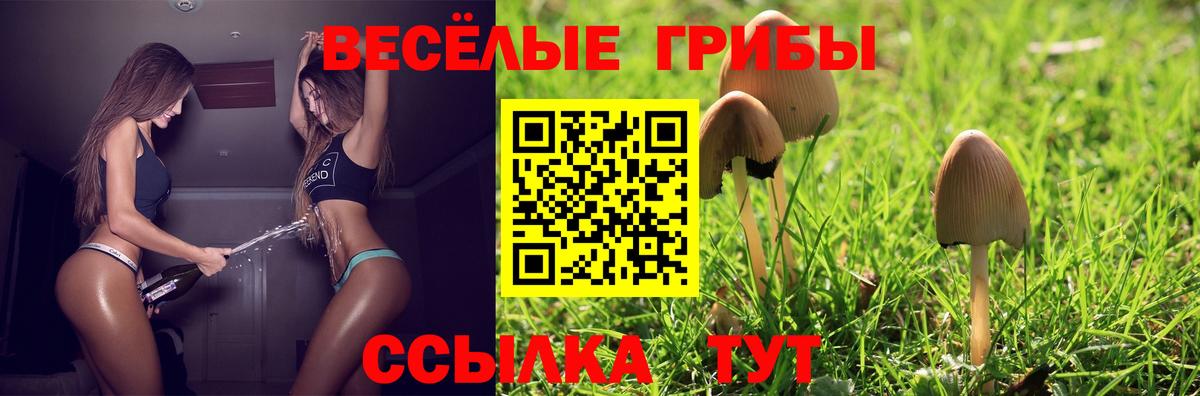 Шебекино  Галлюциногенные грибы ЛСД  Галлюциногенные грибы ЛСД  купить   Вход с VPN 